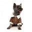 Giubbotto aviatore per cani FuzzYard Ava marrone