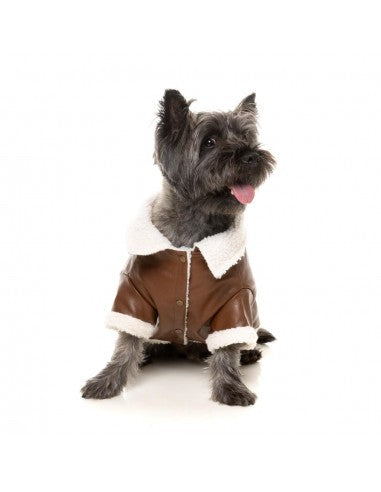 Giubbotto aviatore per cani FuzzYard Ava marrone