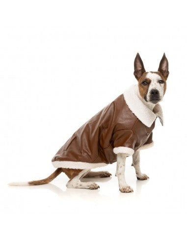 Giubbotto aviatore per cani FuzzYard Ava marrone