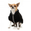 Cappottino in sherpa per cani FuzzYard Basecamp nero