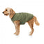 Bomber imbottito per cani FuzzYard verde cachi