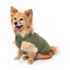 Bomber imbottito per cani FuzzYard verde cachi