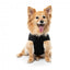 Bomber imbottito per cani FuzzYard nero