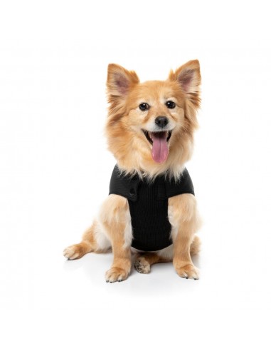 Bomber imbottito per cani FuzzYard nero