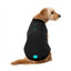 Bomber imbottito per cani FuzzYard nero
