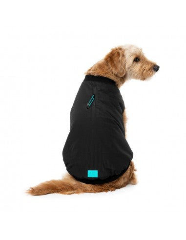 Bomber imbottito per cani FuzzYard nero