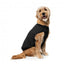 Bomber imbottito per cani FuzzYard nero