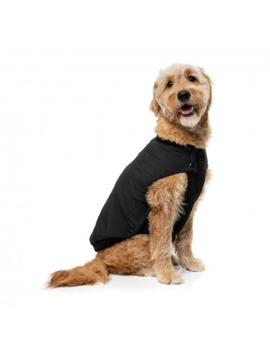 Bomber imbottito per cani FuzzYard nero