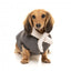 Giacca bomber per cani FuzzYard Nordic grigio antracite con sciarpa removibile