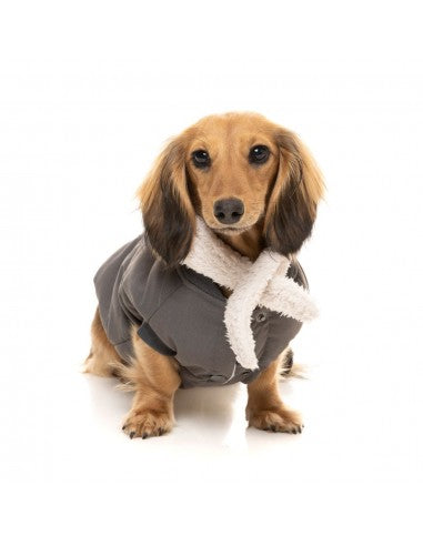 Giacca bomber per cani FuzzYard Nordic grigio antracite con sciarpa removibile