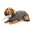 Giacca bomber per cani FuzzYard Nordic grigio antracite con sciarpa removibile