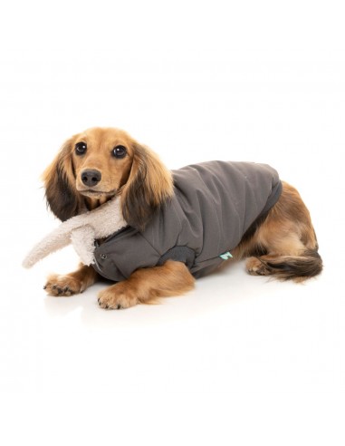 Giacca bomber per cani FuzzYard Nordic grigio antracite con sciarpa removibile