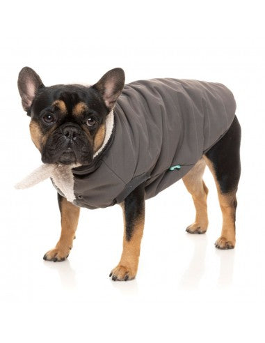 Giacca bomber per cani FuzzYard Nordic grigio antracite con sciarpa removibile