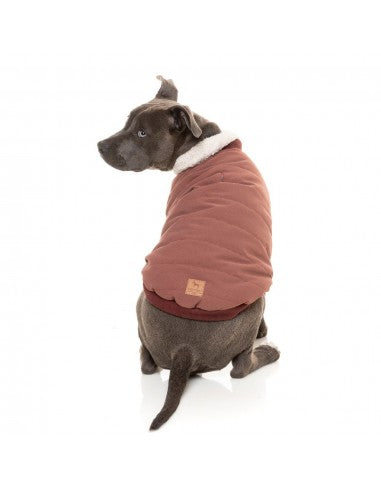 Giacca bomber per cani FuzzYard Nordic bordeaux con sciarpa removibile