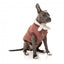 Giacca bomber per cani FuzzYard Nordic bordeaux con sciarpa removibile