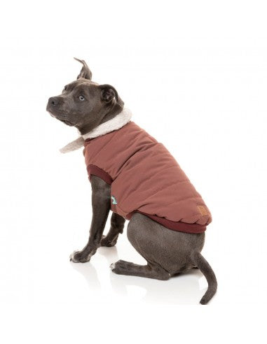 Giacca bomber per cani FuzzYard Nordic bordeaux con sciarpa removibile