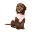 Giacca con pettorina per cani FuzzYard East MacGyver rosa