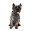 Cappottino con cappuccio per cani FuzzYard Essential grigio