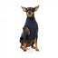 Gilet sherpa per cani FuzzYard Fitzroy blu navy