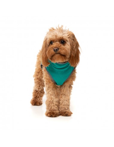 Gilet sherpa per cani FuzzYard Fitzroy verde