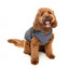 Giacca riflettente con pettorina per cani FuzzYard Flash