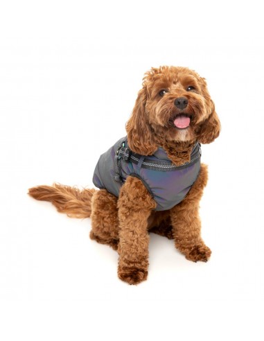Giacca riflettente con pettorina per cani FuzzYard Flash
