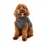 Giacca riflettente con pettorina per cani FuzzYard Flash