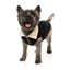 Giacca foderata in sherpa per cani FuzzYard Frontier nera