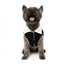 Giacca foderata in sherpa per cani FuzzYard Frontier nera