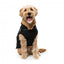 Giubbotto per cani con pettorina FuzzYard Horizon nero