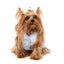 Cappottino reversibile per cani FuzzYard Nara 25 blu
