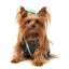 Cappottino reversibile per cani FuzzYard Nara 25 grigio