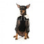 Gilet imbottito per cani FuzzYard Sebastian nero