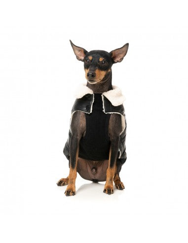 Gilet imbottito per cani FuzzYard Sebastian nero