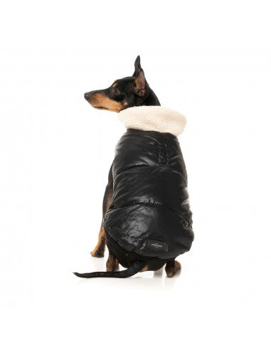 Gilet imbottito per cani FuzzYard Sebastian nero