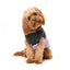 Cappottino imbottito per cani FuzzYard South Harlem lilla
