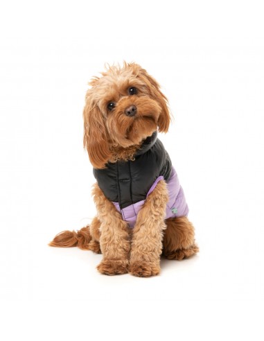 Cappottino imbottito per cani FuzzYard South Harlem lilla