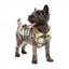 Cappottino per cani FuzzYard Lumberjack 25 verde e crema