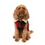 Cappottino per cani FuzzYard Lumberjack 25 rosso