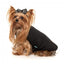 Gilet reversibile per cani FuzzYard Umeda nero
