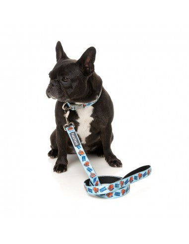 Collare in neoprene per cani FuzzYard Ahoy There! (taglia S)
