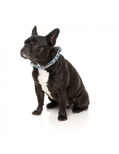 Collare in neoprene per cani FuzzYard Ahoy There! (taglia XS)