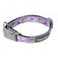 Collare in neoprene per cani FuzzYard Aloha Dolphins (taglia M)