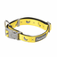 Collare in neoprene per cani FuzzYard Monkey Mania (taglia S)