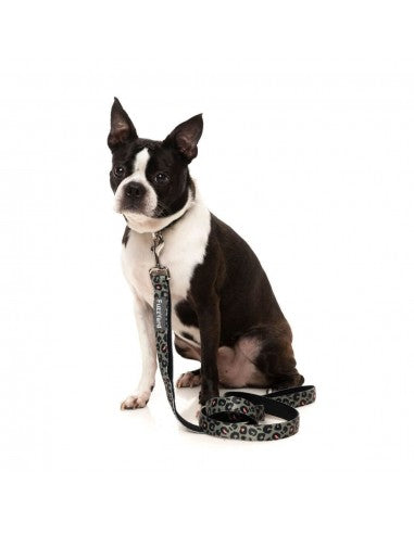 Collare in neoprene per cani FuzzYard Savanna (taglia M)