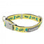 Collare in neoprene per cani FuzzYard Sk8ter Gator (taglia S)