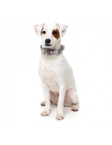 Collare in neoprene per cani FuzzYard Bubblegum Burst (taglia L)