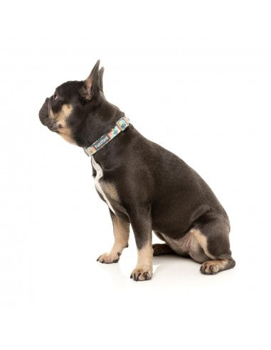 Collare in neoprene per cani FuzzYard Carioca (taglia M)