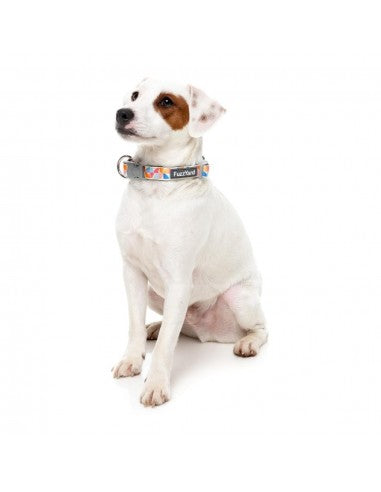 Collare in neoprene per cani FuzzYard Fresh Zest (taglia M)