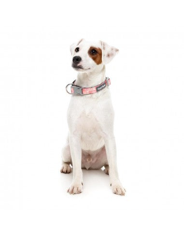 Collare in neoprene per cani FuzzYard Pink Lemonade (taglia L)
